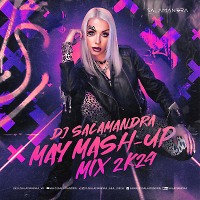 Dj Salamandra - May Mash-Up Mix 2k24