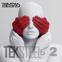 DJ Шмель - TekSteelb 2
