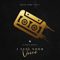 Slider & Magnit - I Feel Your Voice (Kolya Funk Remix)