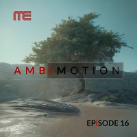 AmbiMotion [episode 16] (Vinyl Mix)