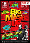 BIG MASH UP | DJ PASHA PANDA