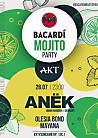 Bacardi Mojito Party