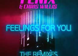 Feelings For You (Gozzi Remix) on Remix Top30 Spotlight