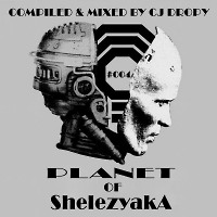 Planet Of ShelezyakA #004