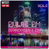 DJ Andersen & ZTN - Pulse PM Vol.8