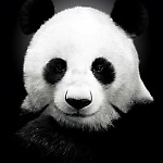 Dj Vasilii Kuybor "Panda Breaks" vol 1