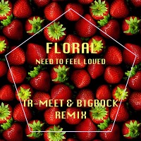 Floral - Need To Feel Loved (Tr-Meet & BigRock Remix)