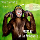 Funny monkey - mixed by Chi Chi Rodriguez (18/02/11)