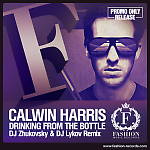Calwin Harris feat. Tinie Tempah - Drinking From The Bottle (DJ Zhukovsky & DJ Lykov  Remix)