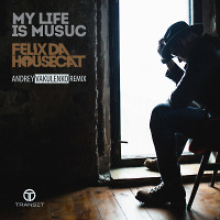 Felix da Housecat - Music is my Life (Andrey Vakulenko Remix)
