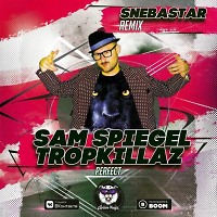 Sam Spiegel & Tropkillaz - Perfect (SNEBASTAR Remix)