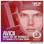 Avicii feat. Aloe Blacc - Wake Me Up (DJ Favorite & DJ Lykov Remix)