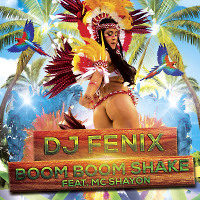 Boom Boom Shake (feat. Mc Shayon) (Radio Edit)