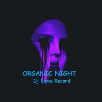 Organic Night 07 (winter)