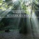 Dj Vladimir Vladimirovich - Walks on mysterious wood(progressive mix)