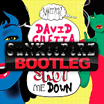 David Guetta - Shot Me Down (Dj SuNKeePeRZ Bootleg)