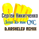 Сергей Никитченко - Лети ко мне SMS (D. Koshelev Remix)