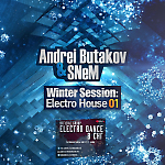Andrei Butakov & SNeM - Winter Session, Electro House 01 (06.01.15)