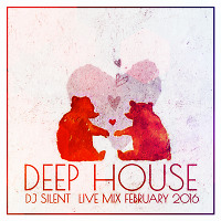 DJ SILENT - DEEP HOUSE LIVE MIX FEBRUARY 2016/NO JINGLES/