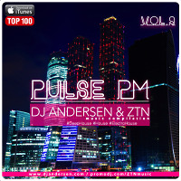 DJ Andersen ZTN – Pulse PM Vol.9