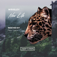 Wrigley - New Life (Radio Mix)