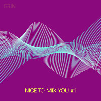 GRIN - Nice To Mix You #1