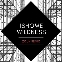 Ishome - Wildness [ Zolin Remix ]