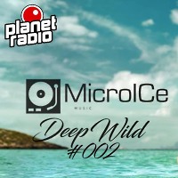MicroICe Music-DeepWild #2 (Planet Radio)