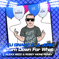 DJ Snake feat. Lil John - Turn Down For What (Alexx Reed & Robby Mond Remix)