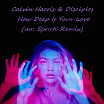 Calvin Harris & Disciples - How Deep Is Your Love (mr.Spruti Remix)