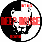 Dj Silent - Deep House Live mix June 2015 