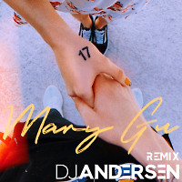 Mary Gu - 17 (DJ Andersen Remix)