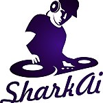 dj sharkai - you play (original mix)