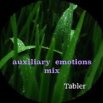 auxiliary  emotions 