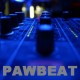 Pawbeat - Инфинити (Instrumental track)