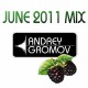 Dj Andrey Gromov - June 2011 mix - Ejevika