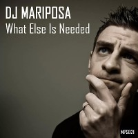 What Else Is Needed by DJ Mariposa