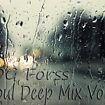 DJ Forss – Soul Deep Mix Vol.7 ( 06.02.2015 )