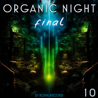Organic Night 10 (final)