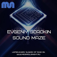 Evgeniy Sorokin - Sound Maze 008