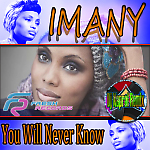 IMANY - YOU WILL NEVER KNOW (DJ KAPRAL REMIX)