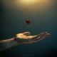 Hope of Love ::.