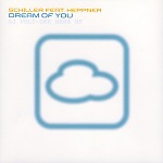Faithless, DJ DNK Vs. Schiller - We Dream Of You (DJ Volt-One Mash Up)