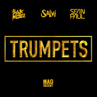 Sak Noel  Salvi Ft. Sean Paul - Trumpets (Extended Mix)