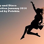 Deep and Disco selection january 2014 mixed by Potehin