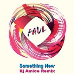 Faul - Something New (Dj Amice Remix)