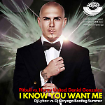Pitbull vs. Horny United, Daniel Gonzalez, Mart - I Know You Want Me (Dj Lykov & Dj Skryaga Summer)