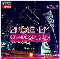 DJ Andersen ZTN - Pulse PM Vol.6