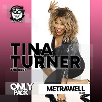 Tina Turner - The Best (Metrawell Remix) (Radio Edit)