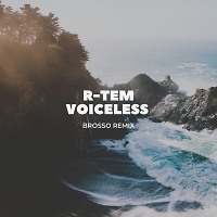 R-Tem - Voiceless (Brosso Remix)